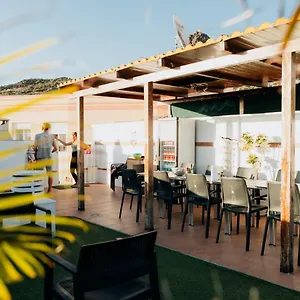  Hostel Endless Summer Vibes
